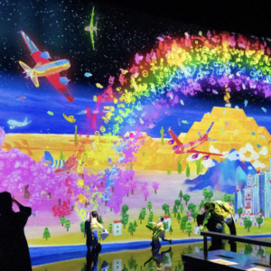 Entradas a TeamLab Planets (Museo Arte Inmersivo) Tokyo